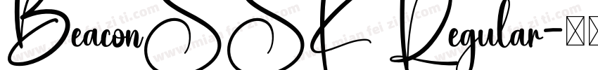 BeaconSSK Regular字体转换